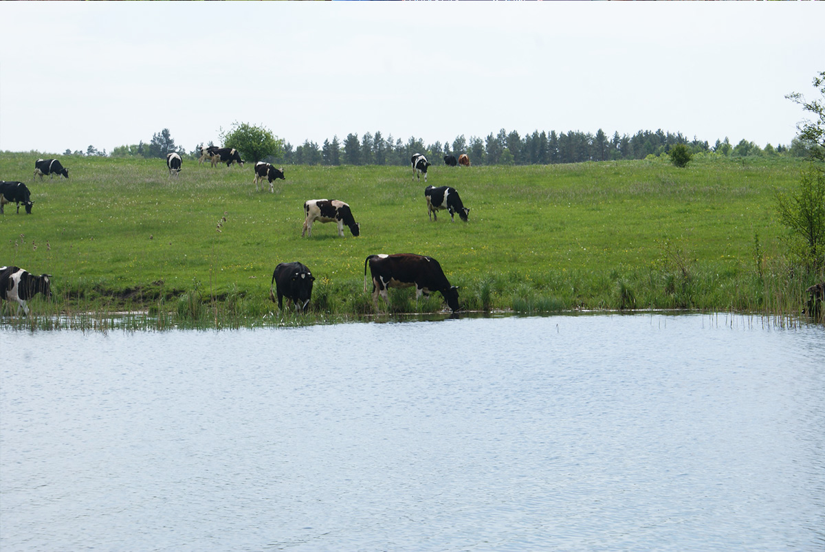 Mazury cruise log – photo 1/3